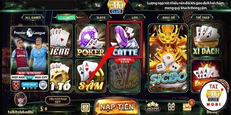 Bật Mí Cách Chơi Game Bài Catte Với 100% Cơ Hội Chiến Thắng